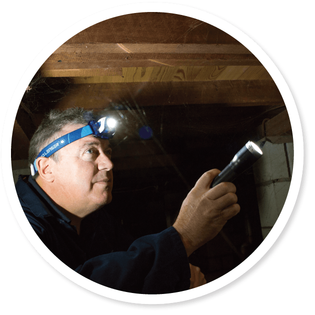 Building Timber Pest Inspection