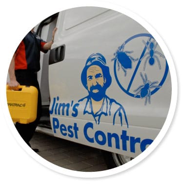 Termite Control Canberra by Jim's