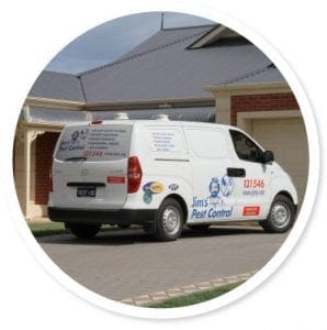 Pest Control Canberra